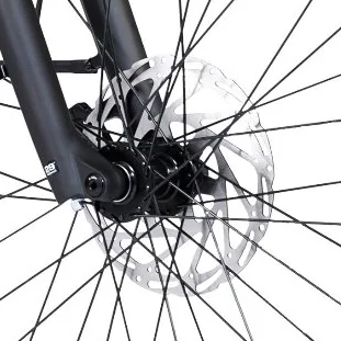 AIMA Santa Monica step-through electric bike